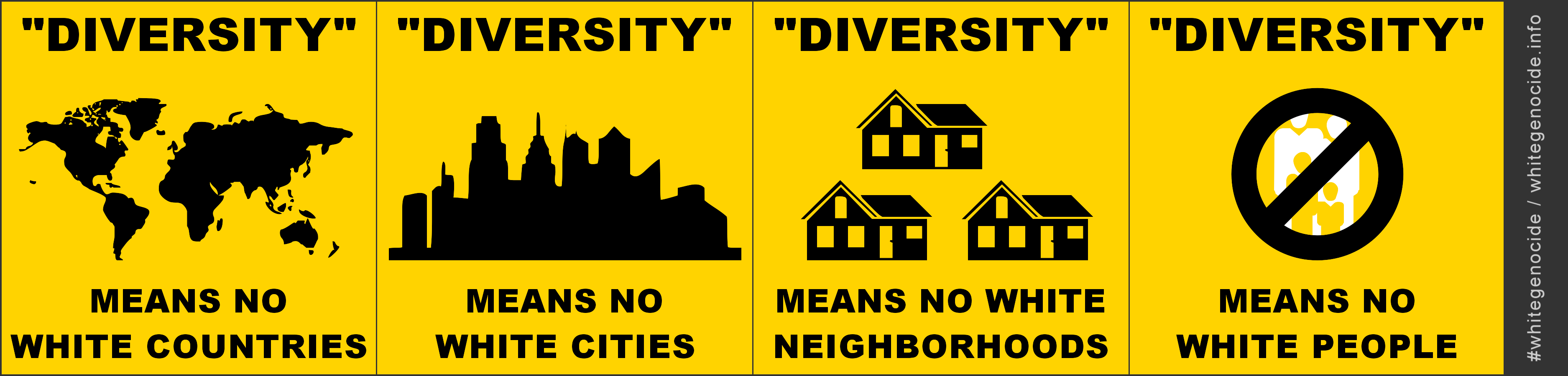 graphic - diversity means no white - single line