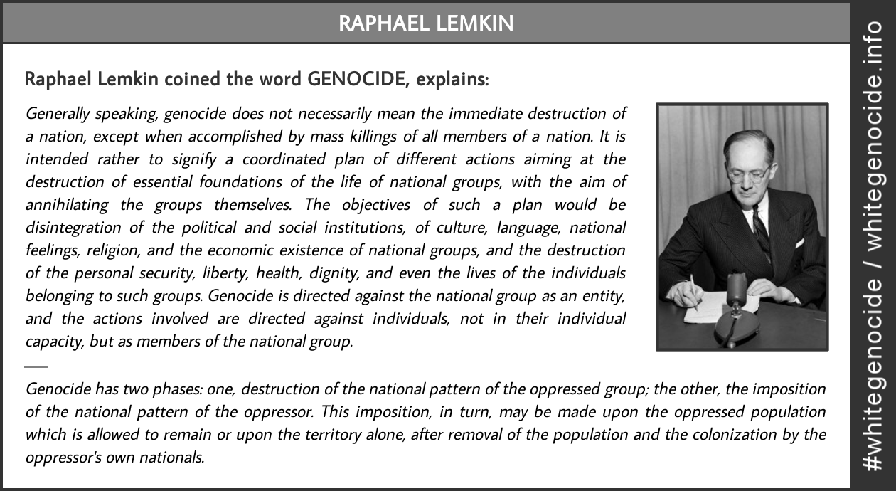 infographic - raphael lemkin explains genocide